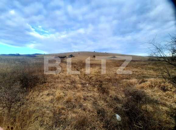 Teren de vânzare Sopor - 85505TV | BLITZ Cluj-Napoca | Poza5