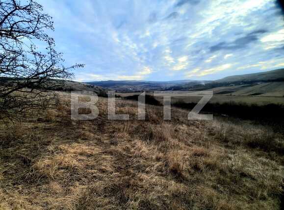 Teren de vânzare Sopor - 85505TV | BLITZ Cluj-Napoca | Poza6