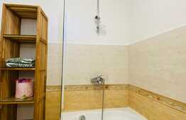 Apartament cu 3 camere, 75 mp, AC, zona strazii Horea