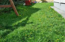 Oportunitate! Apartament in vila 2 camere, Florilor!