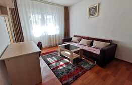 Garsoniera de 25 mp, balcon, decomandata, Manastur 