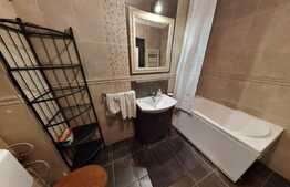 Apartament 2 camere, 47 mp, mobilat si utilat, zona Piata Marasti 