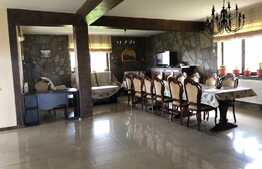 Pensiune de vanzare, 360 mp utili, 7500 teren, Zona Turistica, Risca