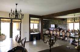 Pensiune de vanzare, 360 mp utili, 7500 teren, Zona Turistica, Risca