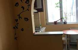 Garsoniera de 21 mp, mobilata si utilata, zona Lombului