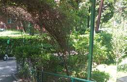 Apartament 3 camere, 67 mp, decomandat, zona Parang 