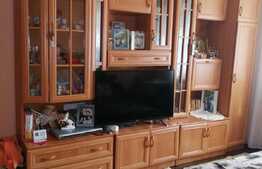 Apartament de 2 camere, mobilat, 2 boxe, zona Florilor