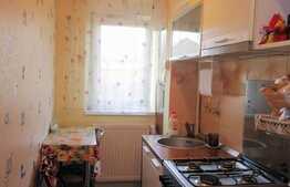 Apartament de 2 camere, mobilat, 2 boxe, zona Florilor