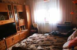 Apartament de 2 camere, mobilat, 2 boxe, zona Florilor