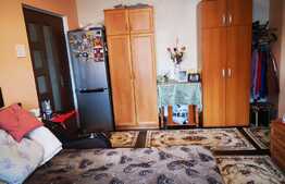Apartament de 2 camere, mobilat, 2 boxe, zona Florilor