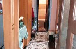 Apartament de 2 camere, mobilat, 2 boxe, zona Florilor