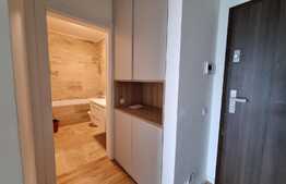 Apartament de o camera, zona Intre Lacuri