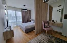 Apartament de o camera, zona Intre Lacuri