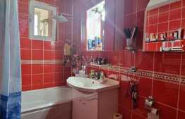 Apartament 2 camere, 48 mp, balcon, zona Piata Flora