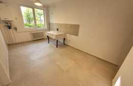 Apartament 2 camere, semidecomandat, parter, zona Iulius Mall