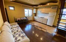 Apartament de 3 camere, 54mp, Zona Garii 