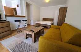 Garsoniera de 36 mp, etaj intermediar, zona Plopilor