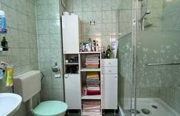 Oferta lunii!! Casa individuala, 120 mp utili, 600 mp teren, Zona Traian Mosoiu