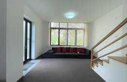 Casa 4 camere, 139 mp, parcare, zona Gradinii Botanice