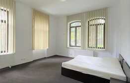 Casa 4 camere, 139 mp, parcare, zona Gradinii Botanice