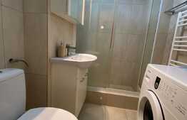 Garsoniera spatioasa, 35 mp, zona Fantanele