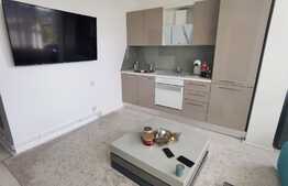 Apartament de 3 camere cu Gradina 80 mp, zona Maramuresului