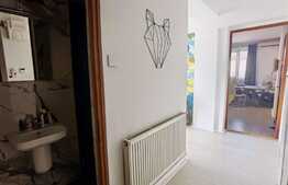 Apartament de 3 camere cu Gradina 80 mp, zona Maramuresului