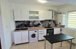 Apartament 2 camere, 53 mp, proaspat renovat, parcare, zona Terra