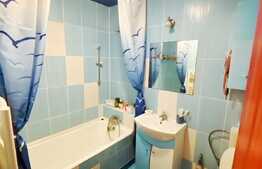 Garsoniera de 27 mp, balcon, Zona Mehedinti 