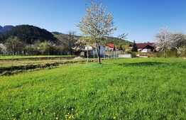 Teren de 1000mp, Sacele