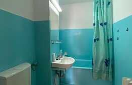 Apartament 3 camere, decomandat, pet friendly, zona Mehedinti