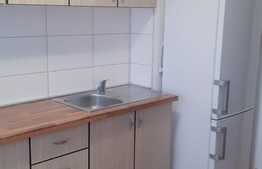 Apartament 2 camere, 55 mp, balcon, zona strazii Liviu Rebreanu