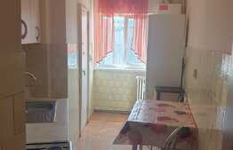 Apartament 2 camere, 50 mp, pet friendly, zona strazii Primaverii