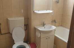 Apartament 2 camere, 50 mp, pet friendly, zona strazii Primaverii