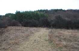 Teren intravilan, 1539 mp, Faget