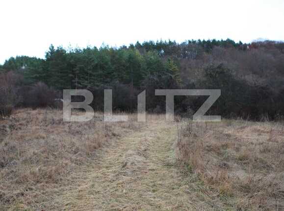Teren de vânzare Făget - 85983TV | BLITZ Cluj-Napoca | Poza1