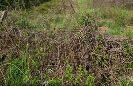 Teren intravilan, 1969 mp, zona Brico Depot