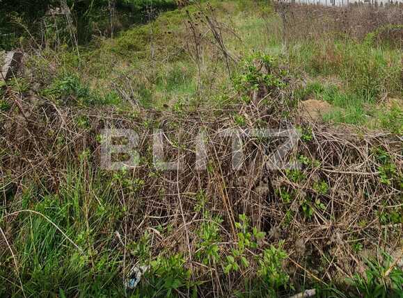 Teren de vânzare Floreşti - 85998TV | BLITZ Cluj-Napoca | Poza2