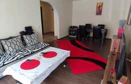 Apartament 2 camere, decomandat, 57 mp, zona Porii 