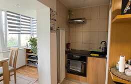 Apartament 2 camere, 57 mp, etaj intermediar, finisat, Plopilor