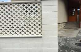 Casa 2 camere, 80 mp, 300 mp teren, Dambul Rotund