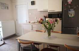 Casa 2 camere, 80 mp, 300 mp teren, Dambul Rotund