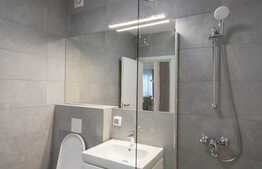 Garsoniera 45 mp, etaj intermediar, mobilata lux, zona Centrala