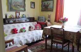 Vanzare apartament 2 camere, 39,50 mp, zona strazii Plopilor