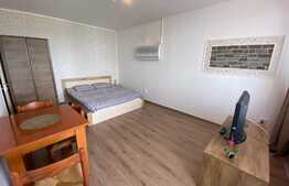 Garsoniera de 28mp, Zona Garii 