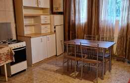 Garsoniera spatioasa, 48 mp, zona Garii