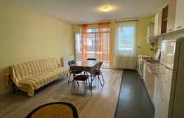 Apartament 2 camere, 56 mp, etaj intermediar, zona Porii 