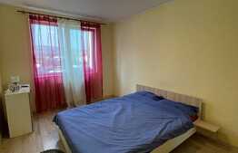 Apartament 2 camere, 56 mp, etaj intermediar, zona Porii 