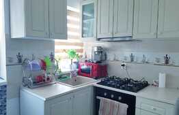 Apartament 2 camere, 50 mp, zona Cetatii