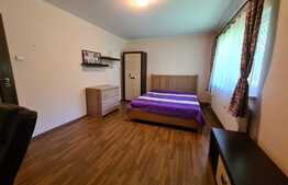 Apartament 2 camere, decomandat, 55mp, zona strazii Plopilor